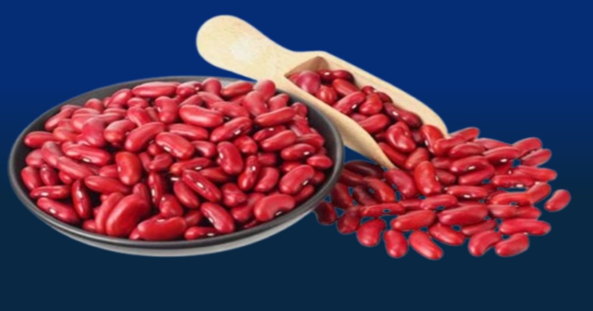  Amazing medical benefits of red kidney beans | Red Beans Benefits for Mothers, Skin, Weight Loss and Energy 